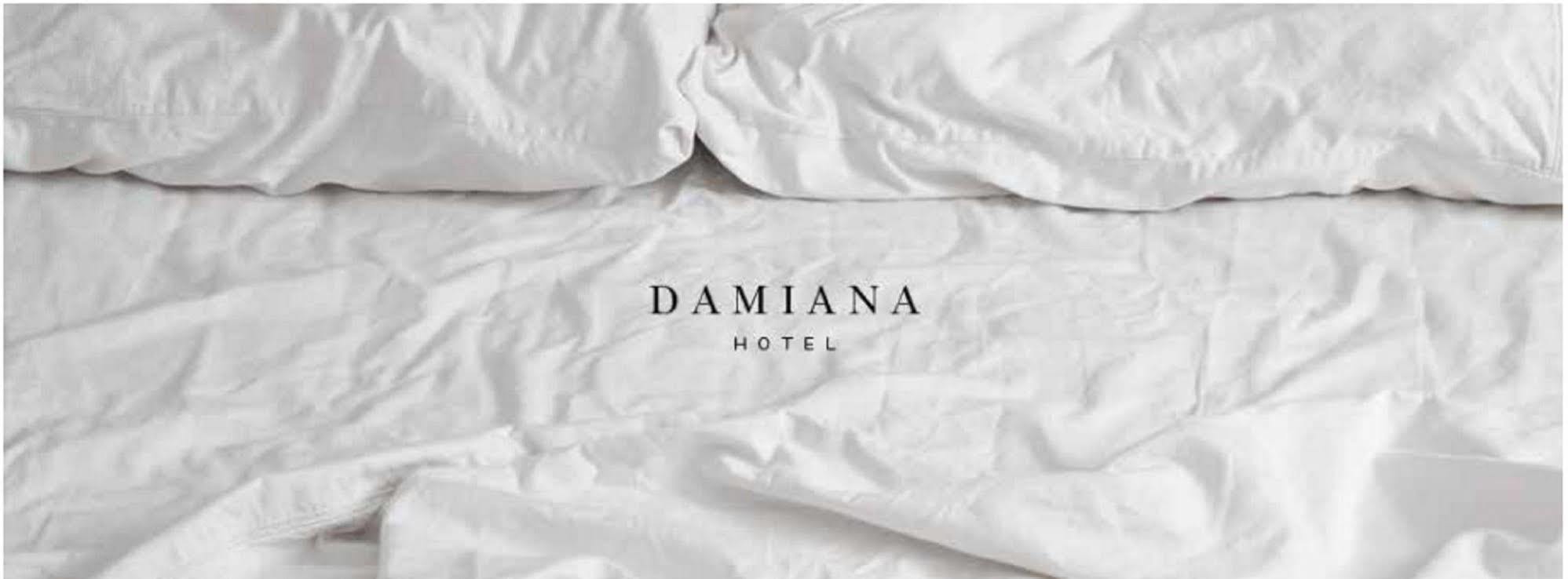 Hotel Damiana Boutique ケレタロ エクステリア 写真